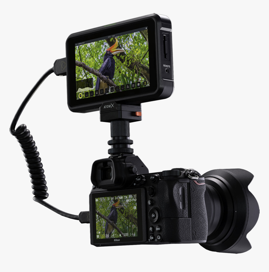 The Atomos Shinobi 5 Inch High Brightness Hdr Monitor - Atomos Shinobi 5 Inch Hdmi 4k Monitor, HD Png Download