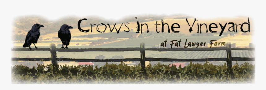 Evening, HD Png Download