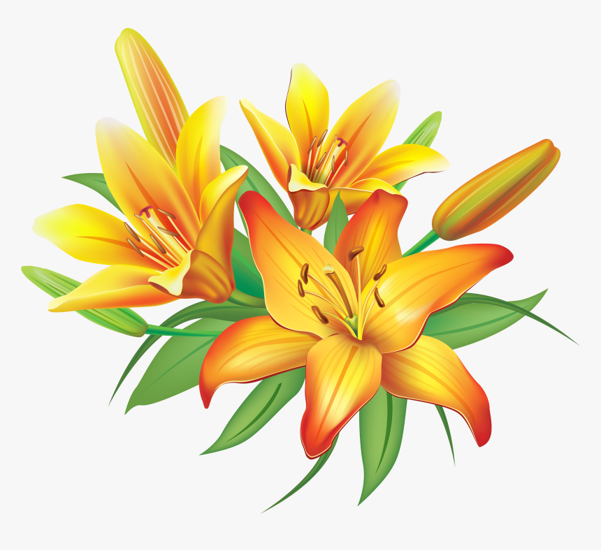 Lily Yellow Lilies Flowers Decoration Clipart Image - Lilies Clipart, HD Png Download