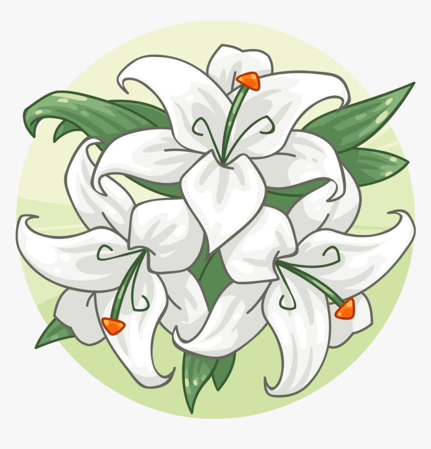 Lily Family, HD Png Download