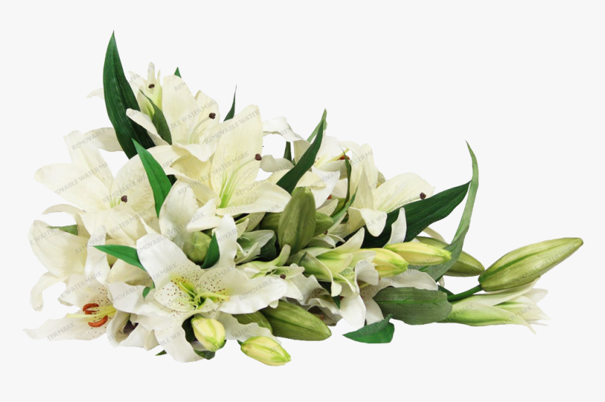 White Lilies Flower Png, Transparent Png