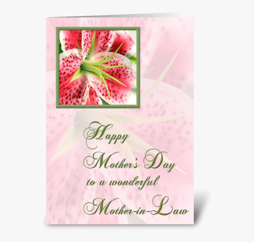 Mother In Law, Stargazer Lily Greeting Card - Happy Anniversary Stargazer Lilies, HD Png Download