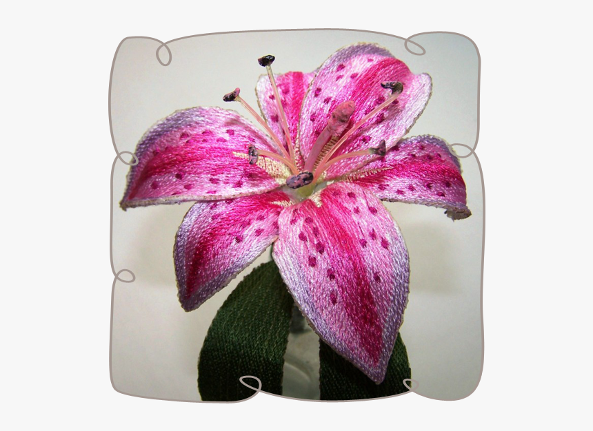 Tiger Lily, HD Png Download