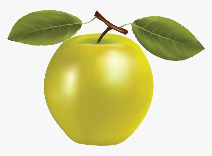 Fruit Icon Realistic, HD Png Download