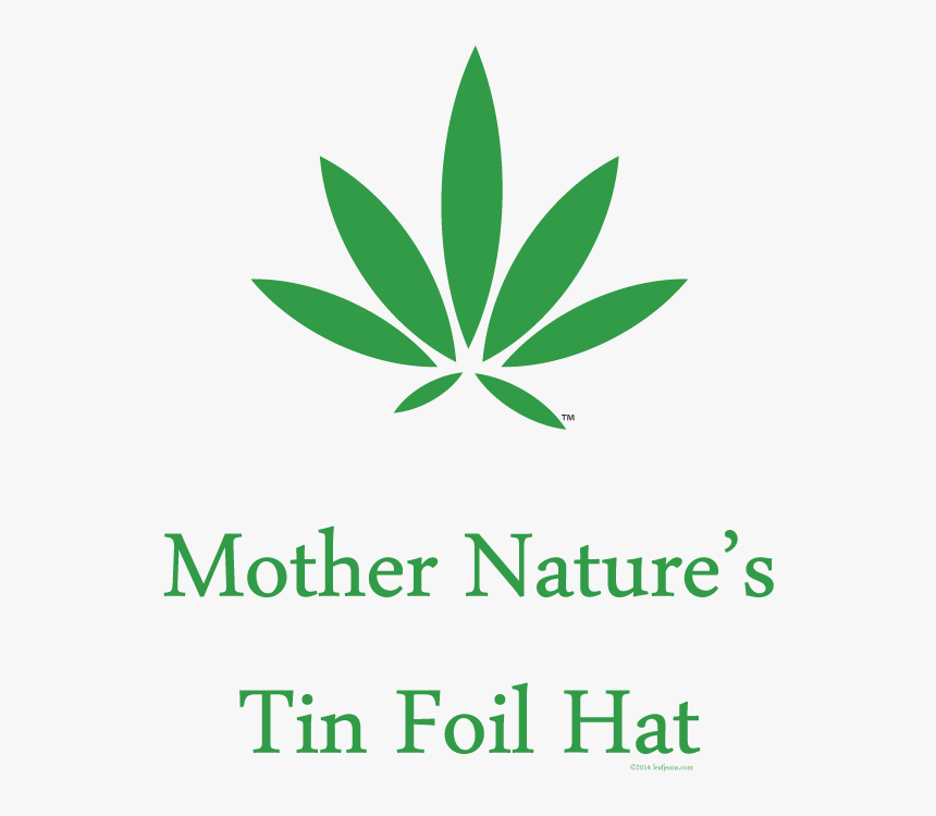 Transparent Tin Foil Hat Png - Military Rank, Png Download