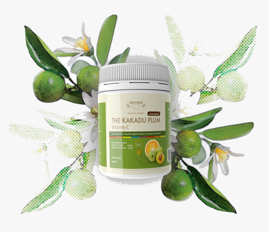 Transparent Mother Nature Png - Jurlique Fruit Enzyme Exfoliator, Png Download