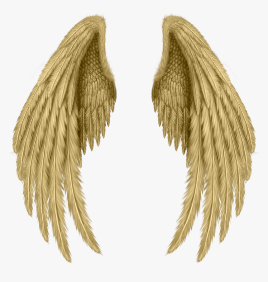 #golden #wings #freetoedit - Realistic Angel Wings Drawing, HD Png Download