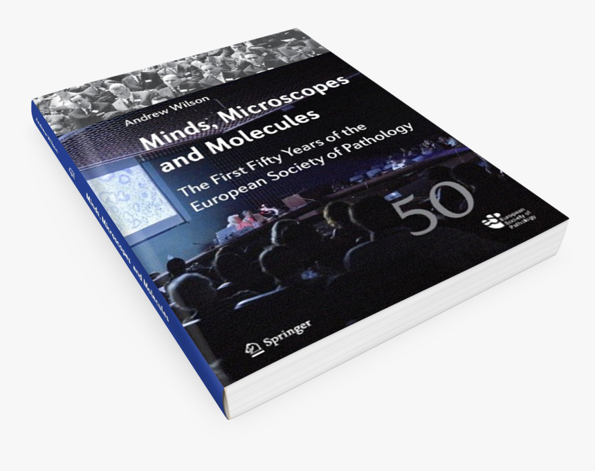 Headphones, HD Png Download