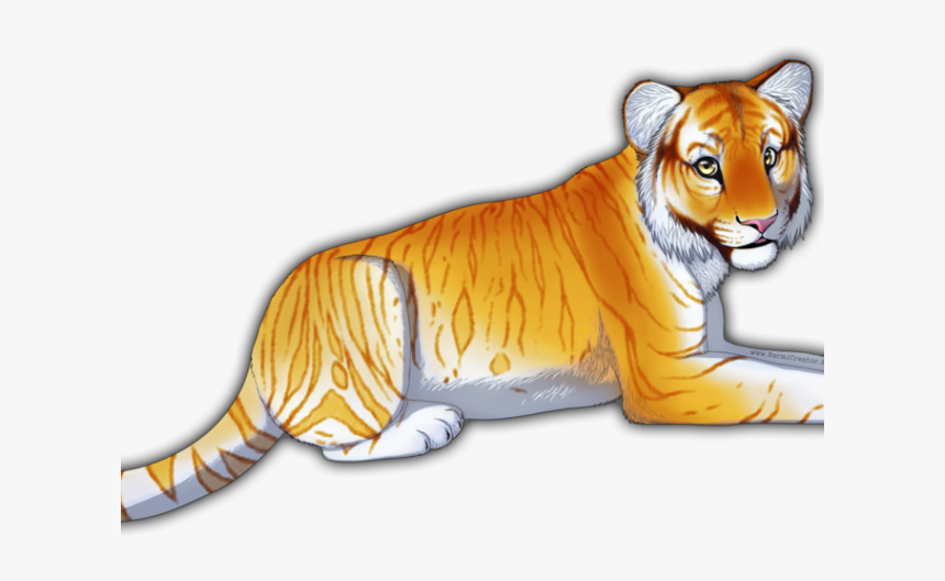Drawn Tiger Liger - Draw A Golden Tiger, HD Png Download