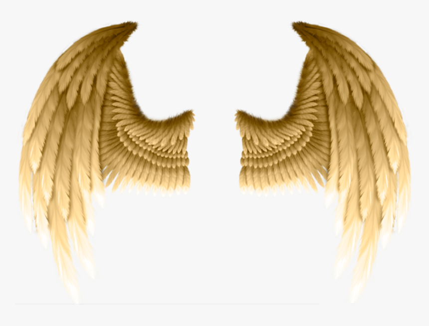 #golden #wings #freetoedit - Gold Angel Wings Png, Transparent Png