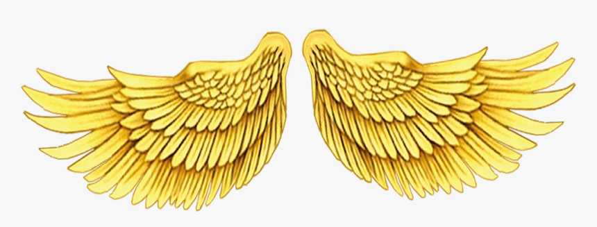 Asa De Anjo Dourada Png, Transparent Png