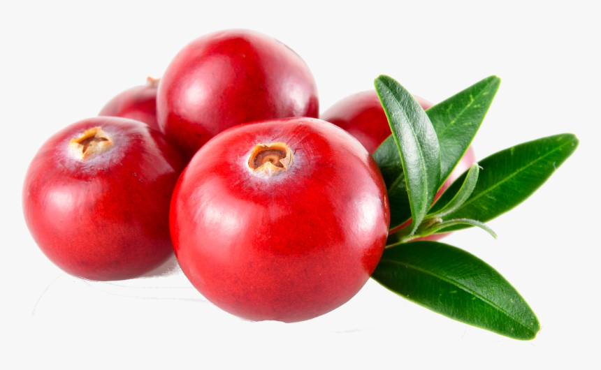 For A Healthy Lifestyle - Twelve Monkeys Ice Age Hakuna 50ml, HD Png Download