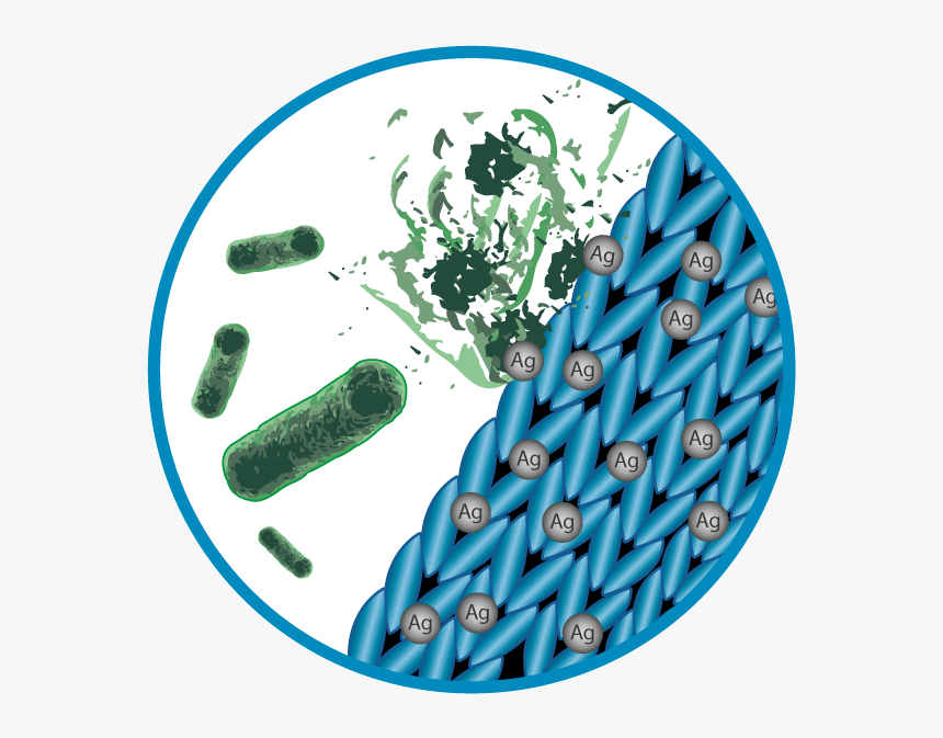 Grafik Hygenic Klein - Circle, HD Png Download