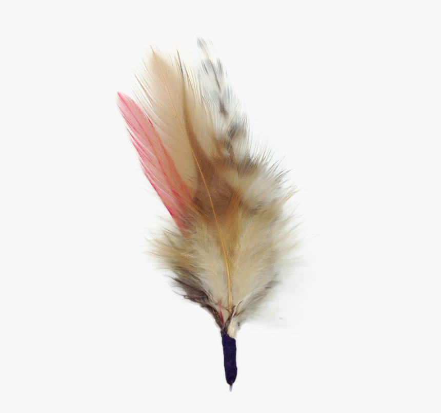 Colorful German Hat Single Feather - Beige, HD Png Download