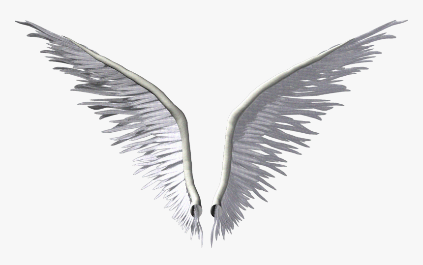 Wing Angel Clip Art - Transparent White Angel Wings Logo, HD Png Download