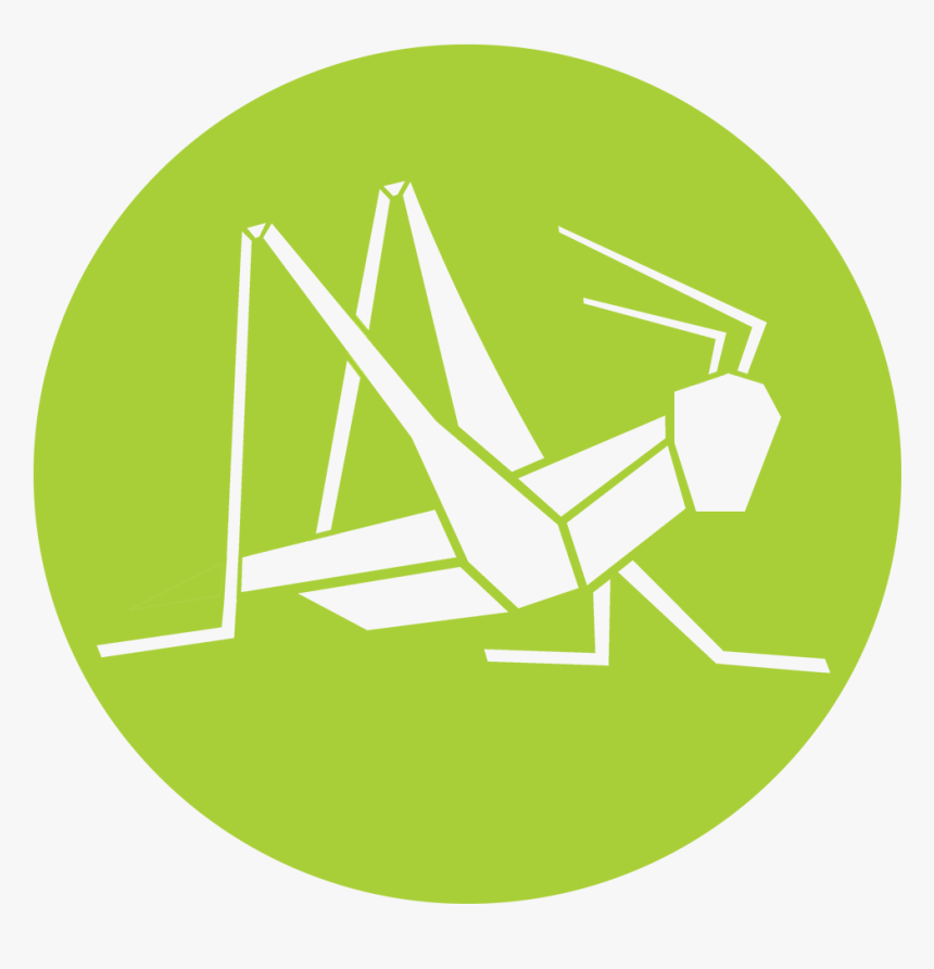 Transparent Vape Logo Png - Logo Grasshopper Png, Png Download