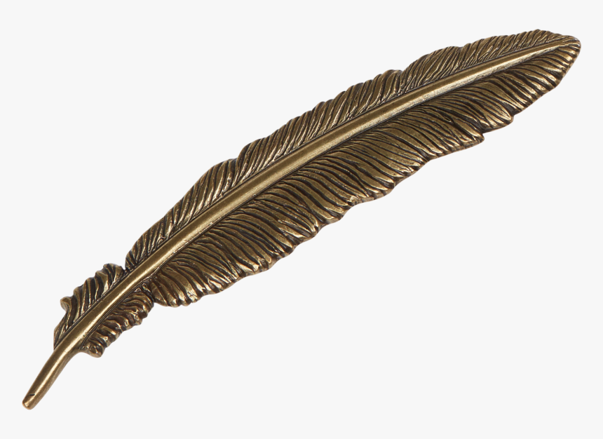 Clip Art Free Photo Nature Natural - Feather In A Hat, HD Png Download