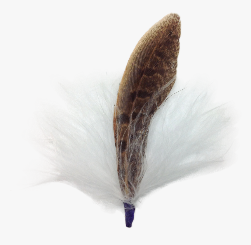 Single German Hat Feather Decor White/brown - Calligraphy, HD Png Download