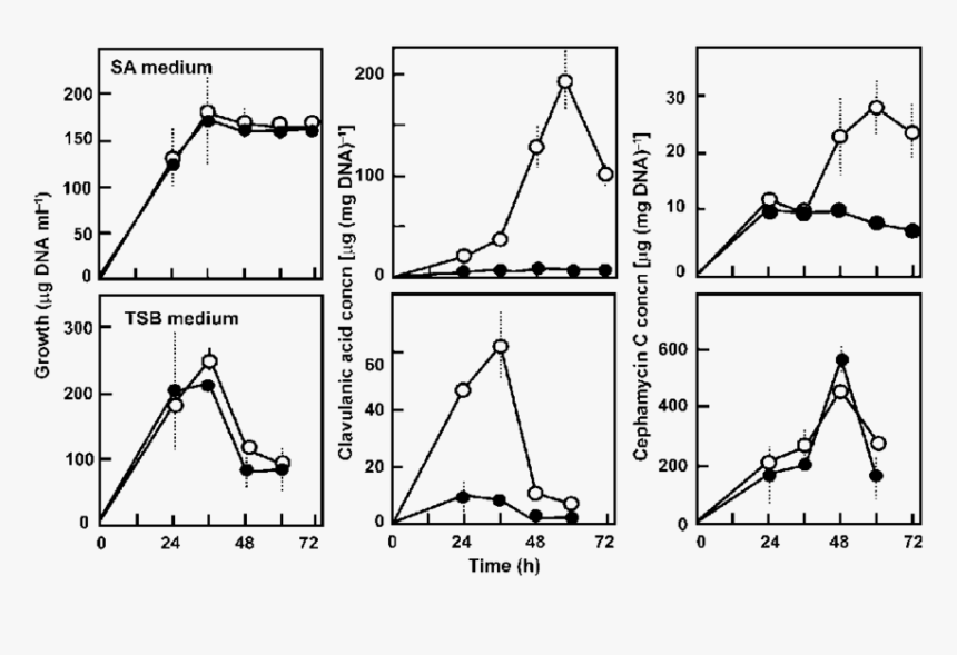 Diagram, HD Png Download