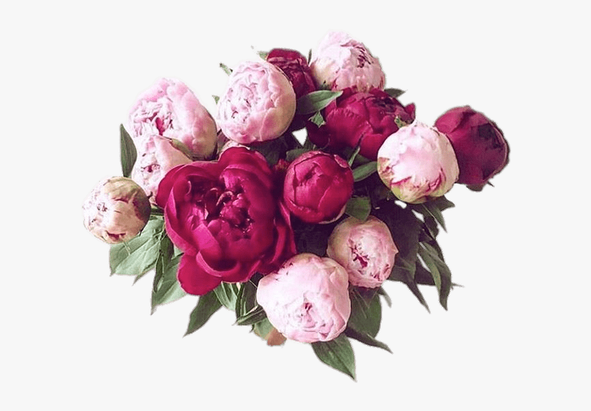 Bouquet Of Peonies - Peonies Png, Transparent Png