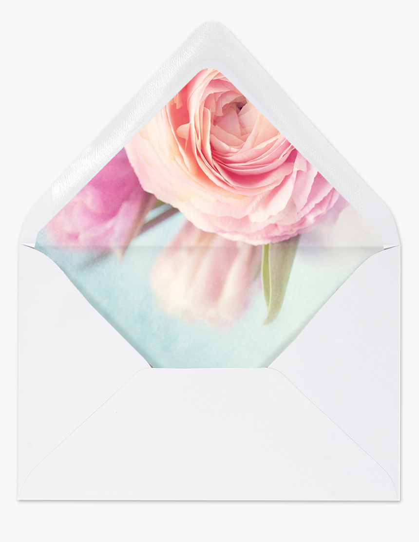 Transparent Pink Peony Png - Hybrid Tea Rose, Png Download