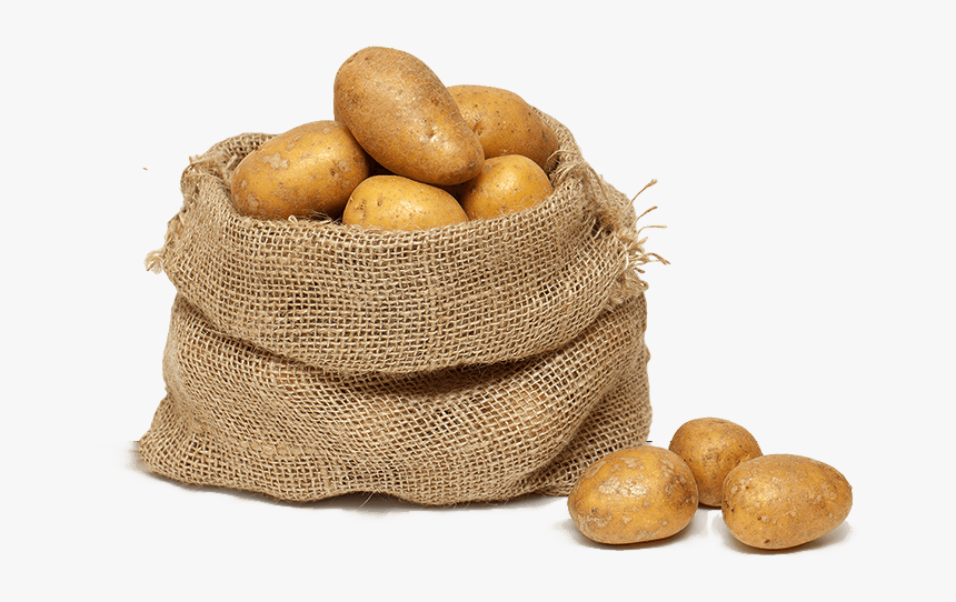 Potato Png - Yukon Gold Potato, Transparent Png