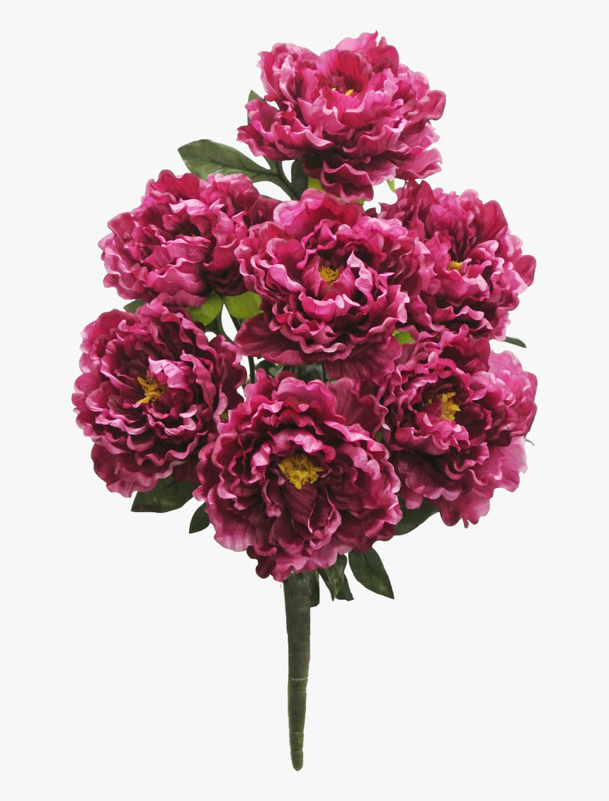 Proven Winners Supertunia Vista Paradise, HD Png Download