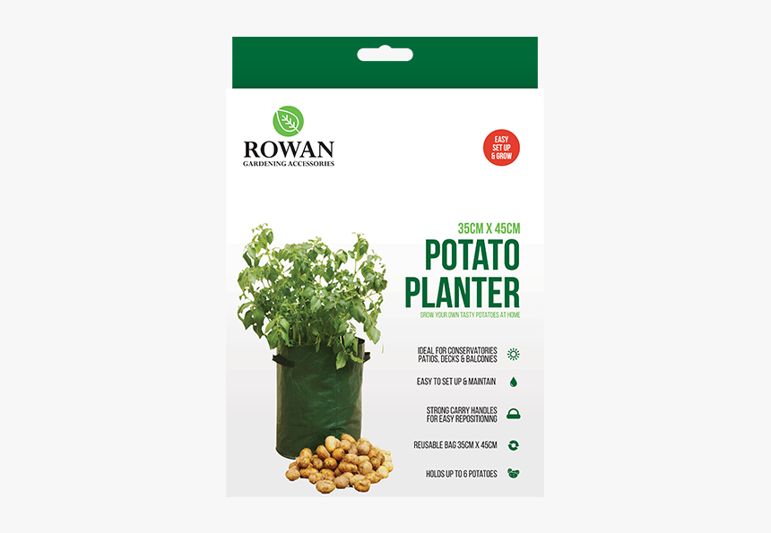 Potato, HD Png Download