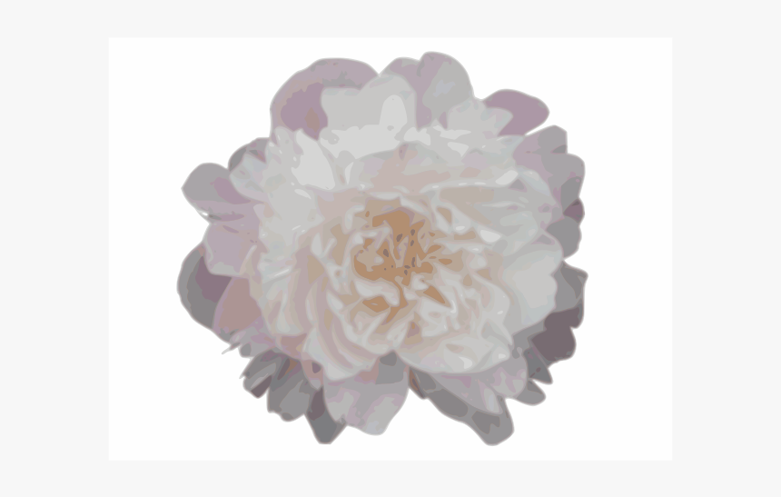 Pink Peony - Dahlia, HD Png Download