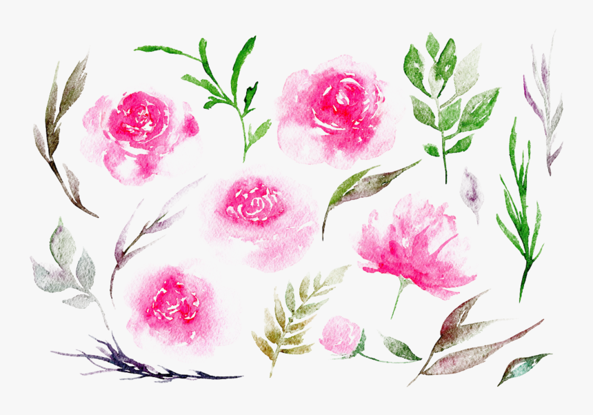 Transparent Weather Clip Art - Pink Peonies Watercolor Png, Png Download