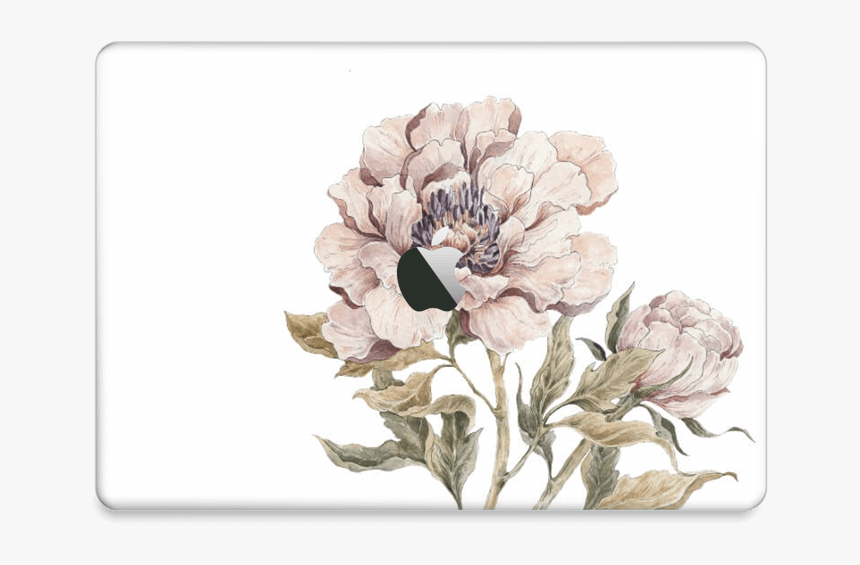 Peony Light Pink Skin Macbook Air 2018- - Magnolia, HD Png Download