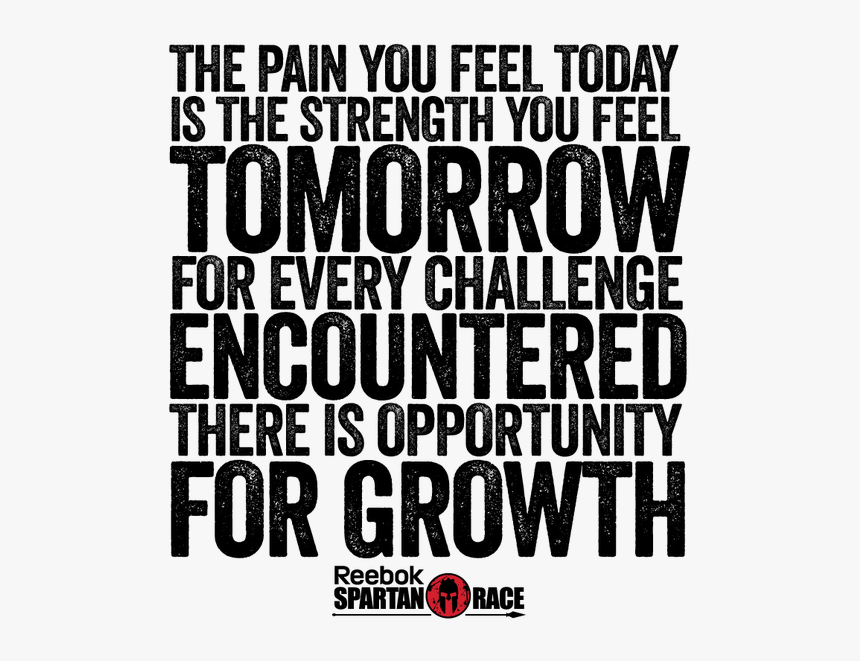 Potato And Sweet Potato, HD Png Download