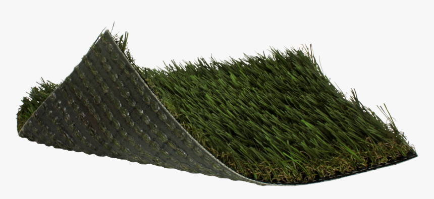 Sweet Grass, HD Png Download