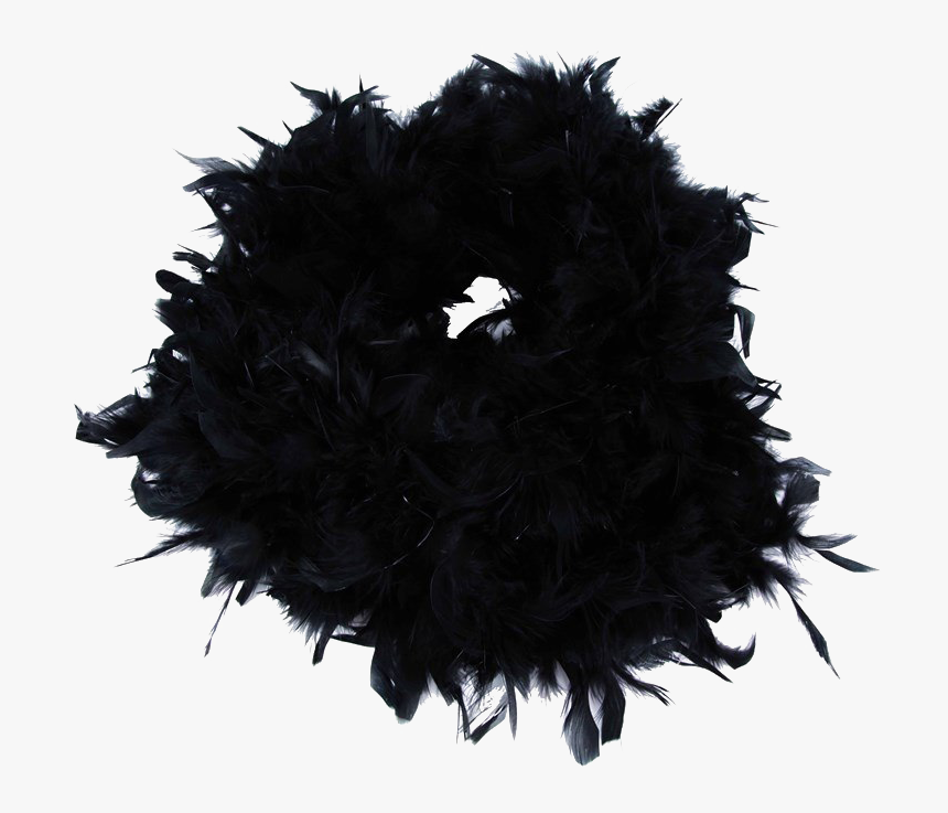 Feather Boa Transparent Image - Black Feather Boa Png, Png Download