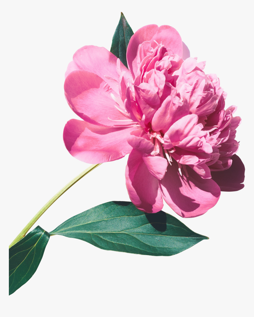 Bem Vindo Mes Junho De 2019 Imagens, HD Png Download