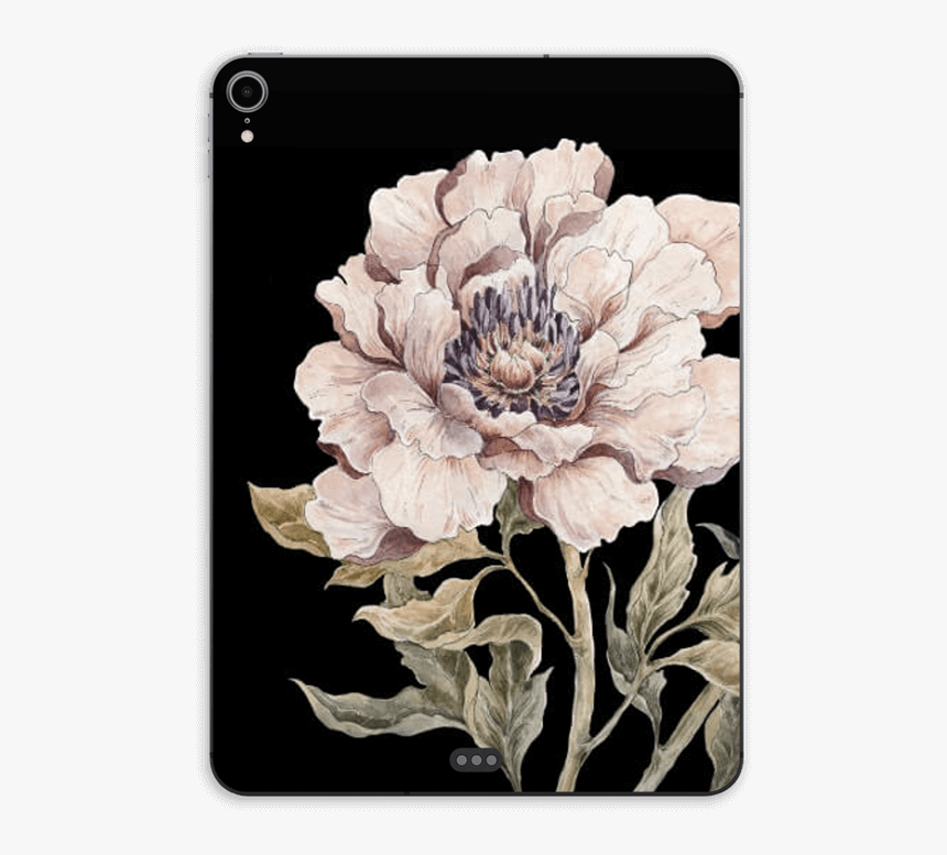 Light Pink Peony Skin Ipad Pro 11 - Chrysanths, HD Png Download