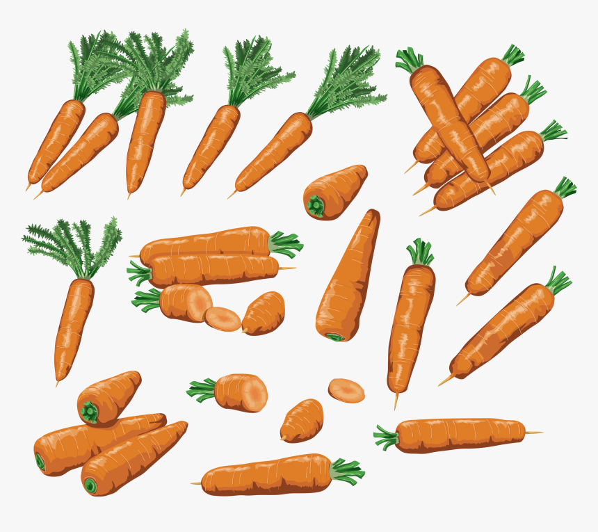 Carrot, HD Png Download