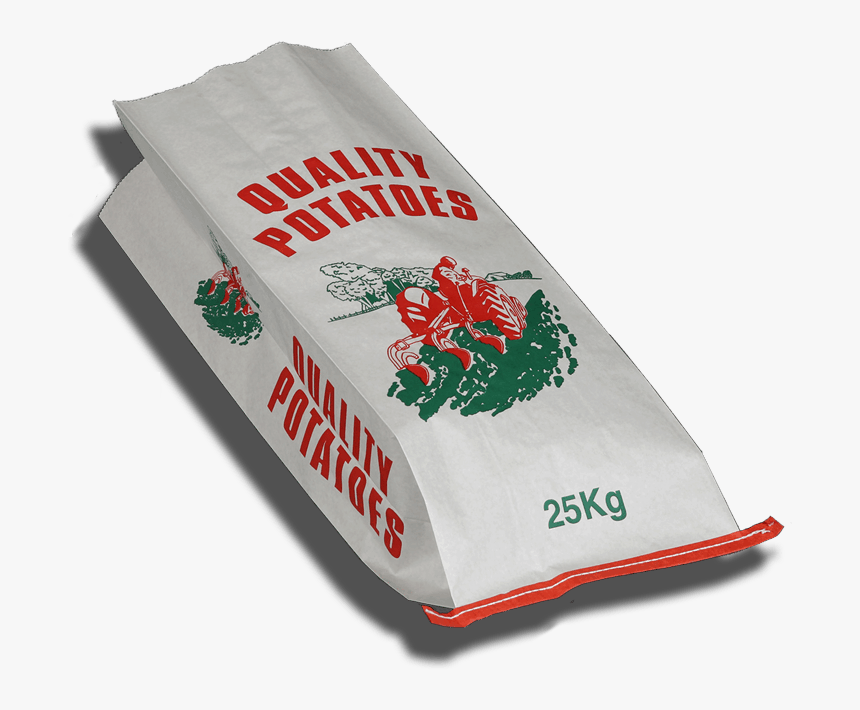 Holly, HD Png Download