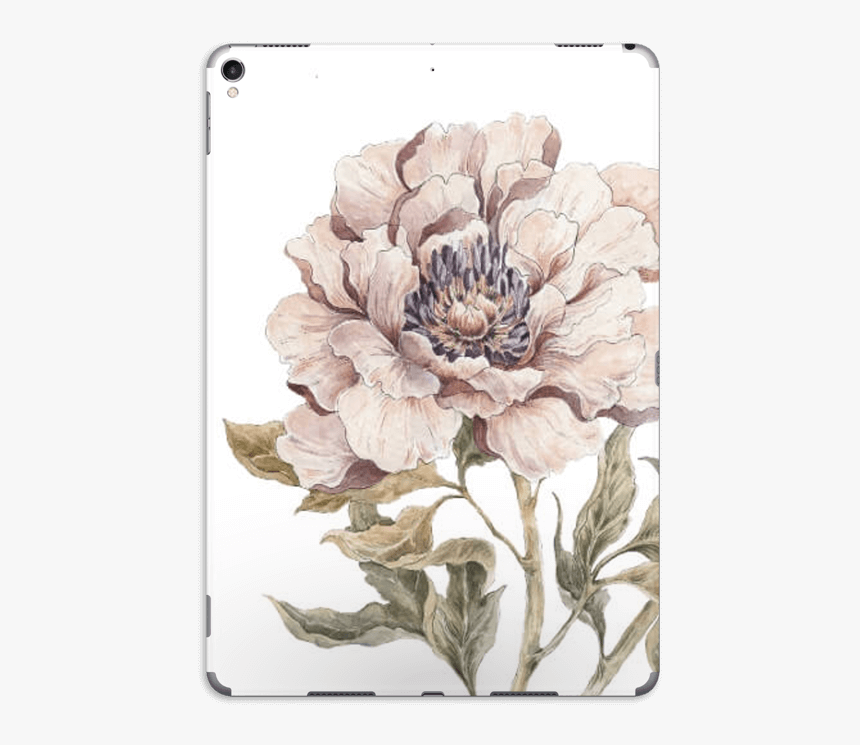 Peony Light Pink Skin Ipad Pro - Chrysanths, HD Png Download