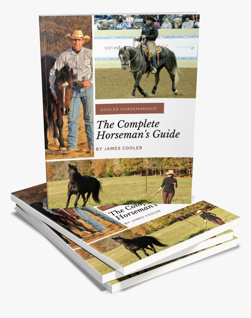 Stallion, HD Png Download