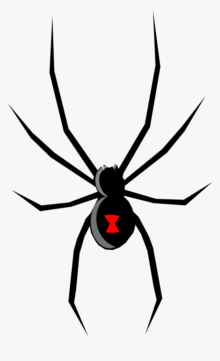 Big Image - Black Widow Spider Cartoon, HD Png Download