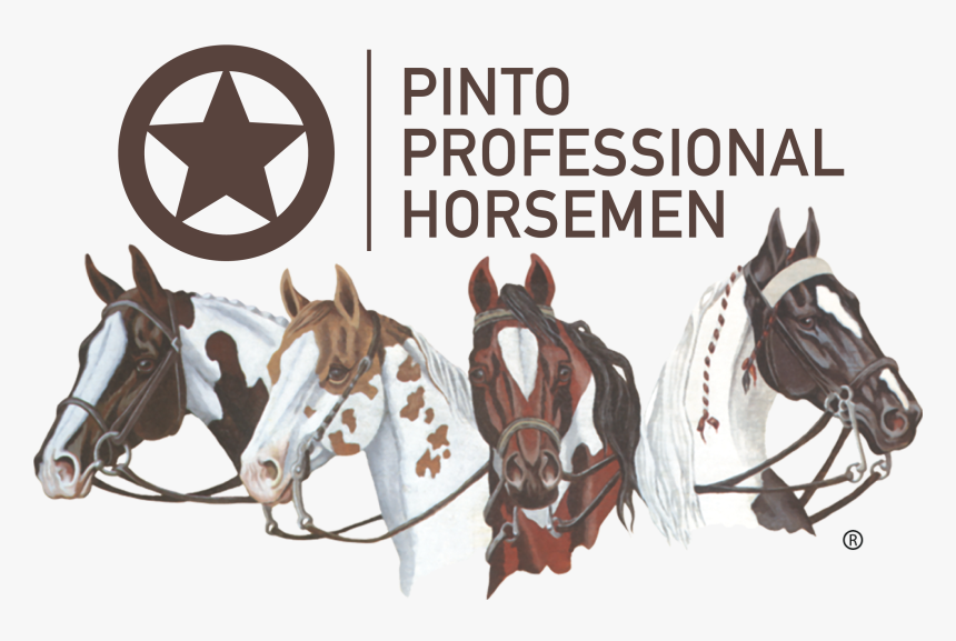 Pinto Horse Association Of America, HD Png Download