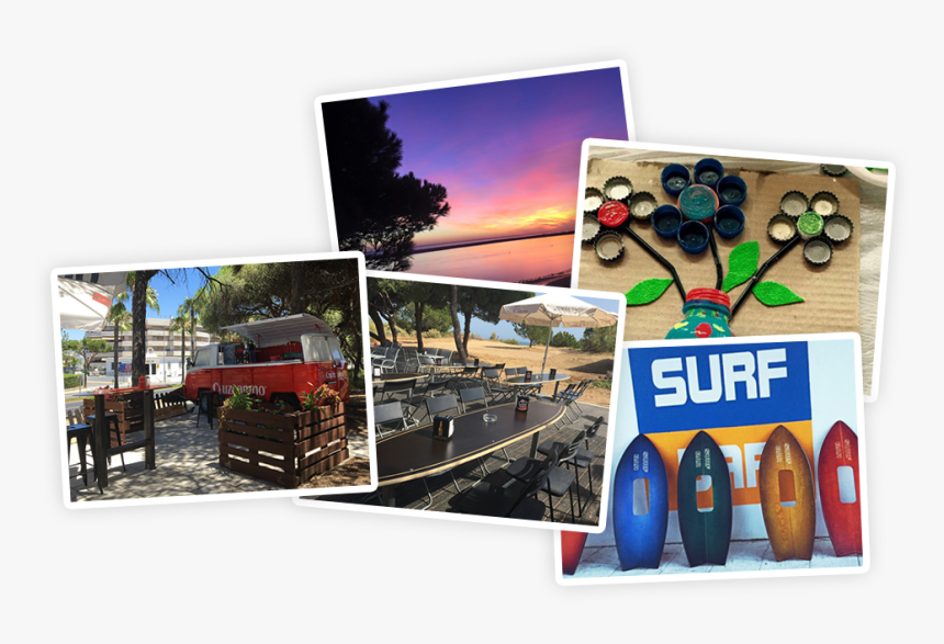 Adansonia, HD Png Download