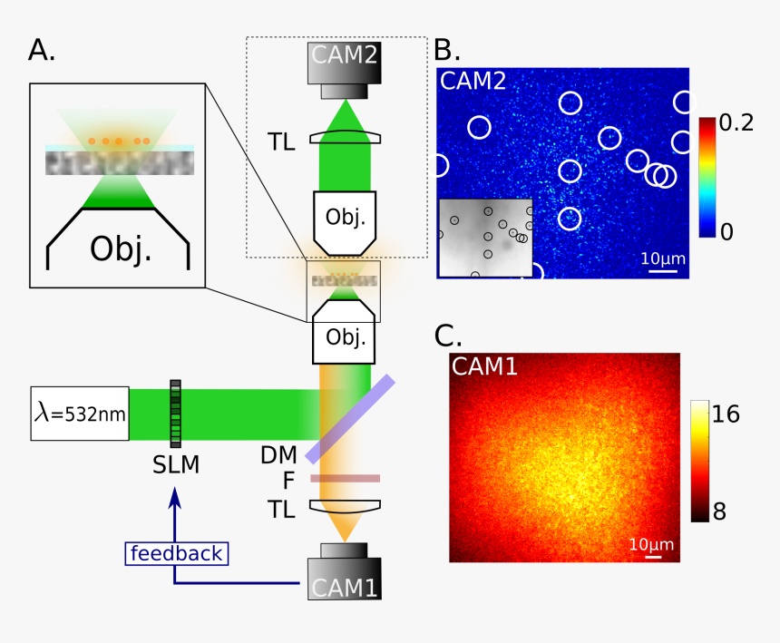 Diagram, HD Png Download