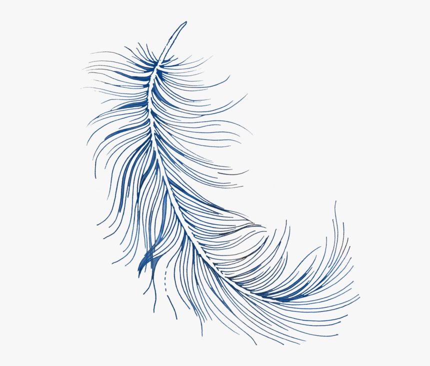 Feather .png, Transparent Png