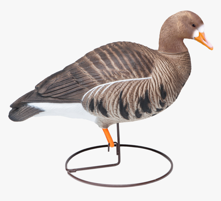 Goose, HD Png Download