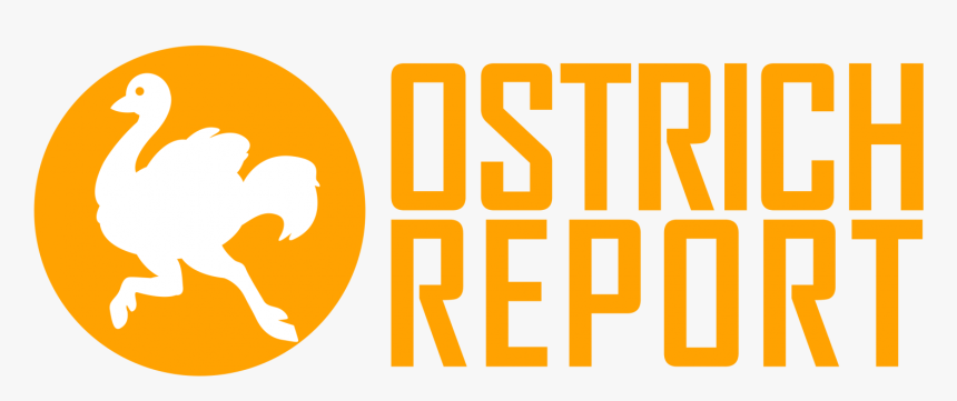 Ostrich Report - Orange, HD Png Download