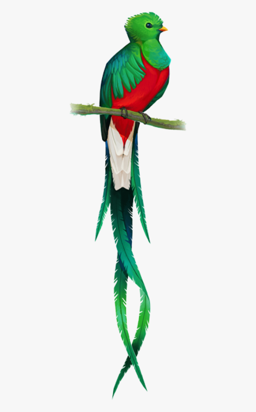 El Quetzal Png, Transparent Png