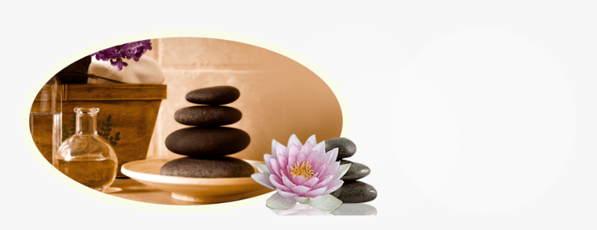 Deep Body Tissue Massage - Sacred Lotus, HD Png Download