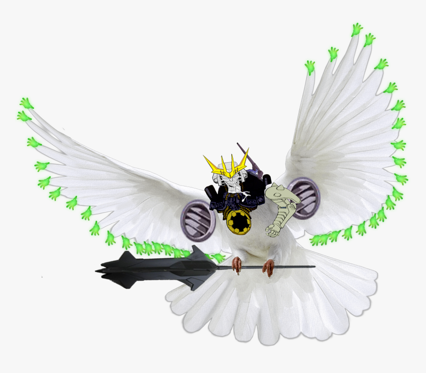 Feather .png, Transparent Png